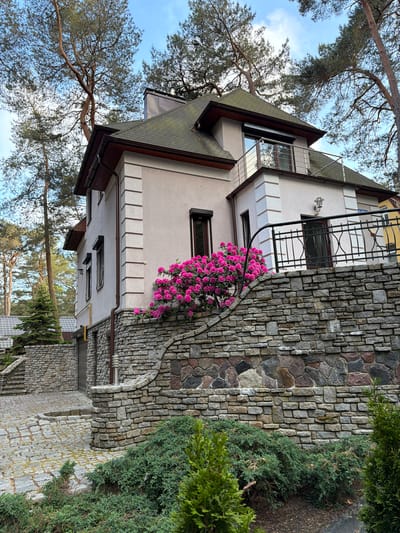 This image depicts a multi-story house in Svetlogorsk, Russia. The house has a light-colored stucco exterior with decorative horizontal trim elements on the upper floors. A dark green, shingled roof is visible, along with a chimney and a balcony on the upper level. The house is partially enclosed by a tiered stone wall. A vibrant bush with bright pink flowers is situated on top of the stone wall, adjacent to the house. The foreground features lush green bushes and manicured evergreen trees. A cobblestone pathway leads up to the house, with stone steps integrated into the retaining wall. Tall pine trees with sparse branches frame the scene, indicating a natural, wooded environment. The sky is visible above, with scattered clouds. There are no people or animals present in the image. The overall scene suggests a well-maintained residential property in a scenic, possibly forested, area.