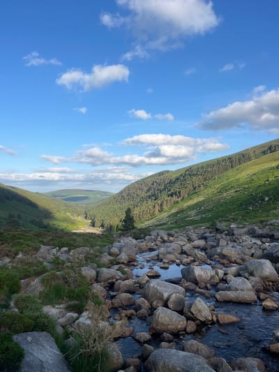The image shows a view of the Glendasan Valley in Ireland, a serene landscape characterized by rolling hills, a forested mountainside, and a rocky stream. The sky is a clear blue, dotted with fluffy white clouds, casting shadows on the valley below. The foreground is dominated by a stream flowing over large grey rocks, interspersed with patches of green grass and heather. The stream bed is filled with these rocks, creating a natural, rugged terrain.

The valley opens up to reveal a lush green mountainside covered in dense forest, with a winding path or road visible in the distance. The sunlight highlights the textures of the vegetation and the contours of the land, creating a sense of depth and tranquility. The overall impression is one of a natural, undisturbed environment, bathed in the soft light of a partly cloudy day.