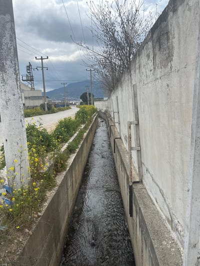 The image depicts an outdoor scene in Kemalpaşa, Turkey, focusing on a concrete-lined irrigation canal. The canal runs diagonally from the foreground towards the background, with dark, rippling water flowing through it. A dark blue bottle or similar debris is visible in the water.

To the left of the canal, a narrow strip of unpaved ground is densely covered with yellow flowering plants. Beyond this strip, a dirt or unpaved road curves gently to the left and extends into the distance. A large, light-colored concrete utility pole stands in the extreme foreground on the left, with another similar pole further down the road. Several additional utility poles with overhead power lines are visible along the road. In the midground to the left, a grey industrial-style building is partially visible.

To the right of the canal, a tall, plain concrete wall runs parallel to the waterway, extending into the background. This wall exhibits some weathering and minor discoloration. Multiple rusty metal brackets are mounted at regular intervals along its length. Above the wall, the bare branches of several deciduous trees are visible against the sky.

In the background, a range of mountains is visible under a heavily overcast sky, characterized by dark grey clouds with some brighter patches. A solitary, full-foliage tree is positioned near the road in the mid-distance. The overall environment appears to be an industrial or semi-rural edge area. No individuals or animals are present.
