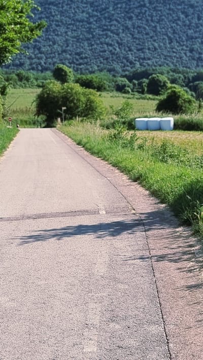 The image shows a paved road in Sant Joan les Fonts, Spain, leading towards a densely wooded hill. The road is bordered by green grass and vegetation on both sides. In the middle ground, to the right of the road, are three cylindrical hay bales wrapped in white plastic. The sky is not visible, but the lighting suggests it is daytime. The scene is rural and appears to be a quiet, natural landscape.