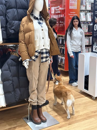 A woman and a dog are in a store. The woman is wearing a gray hoodie and jeans. The dog is leashed and looks to be a Shiba Inu. A mannequin nearby is dressed in a brown puffer jacket, a white cardigan, a blue and white plaid shirt, khaki pants, black socks, and brown boots. Clothing displays with “HEATTECH” signage surround them.