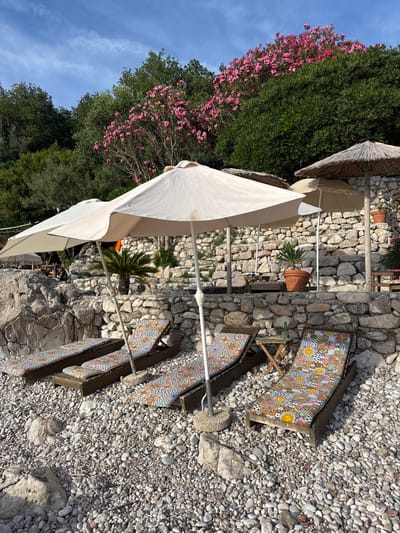 The image shows a section of a pebble beach in Rijeka Reževići, Montenegro, with several sun loungers laid out. The loungers are made of dark wood and have cushions with colorful, patterned upholstery. Two large white umbrellas are set up, providing shade over some of the loungers. Behind the loungers, a stone wall runs horizontally, with several potted plants and a small palm tree strategically placed. Further up, a dense green hillside is visible, adorned with blooming pink flowers. The sky above is a clear blue with a few wispy clouds. The overall scene suggests a tranquil and inviting spot for relaxation on a sunny day.