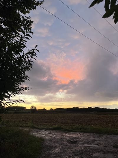 The image depicts an outdoor landscape in Anderlecht, Belgium, captured at twilight. The sky dominates the upper two-thirds of the frame, featuring a central, prominent area of vivid orange and pink illumination, consistent with sunset or sunrise, enveloped by varying densities of grey and light blue clouds. Two thin, dark utility lines are visible stretching diagonally across the upper right portion of the sky. The foreground reveals a muddy, unpaved track containing several shallow puddles, bordered by dark green grass. This track leads into a flat, cultivated field in the midground, characterized by dark brown soil and low, indistinct vegetation remnants. A dense, dark treeline forms the horizon, silhouetted against the lighter sky. A large, dark-leafed tree partially frames the scene on the left, its branches extending from the bottom left corner into the upper left quadrant of the sky. No people, animals, or active subjects are present.