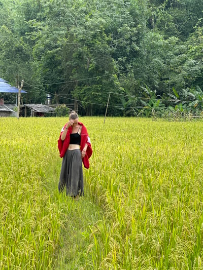 A light-skinned individual, likely female, stands in a vibrant rice paddy field, their fair hair tied up. They are dressed in a black crop top, a long dark grey skirt, and a red and white jacket loosely draped over their shoulders. One hand is raised near their face, perhaps shielding from the sun or in a pensive gesture, with their gaze directed downwards or away from the viewer.
The foreground and much of the right side of the image are filled with lush green rice plants, many of which are heavy with maturing golden grains, indicating a bountiful harvest season. In the background, particularly on the left, a dense wall of tropical trees and foliage, including large-leafed plants resembling banana trees, forms a verdant backdrop. Partially visible within this greenery, towards the mid-left, are parts of small, rustic structures, possibly homes or sheds, with corrugated iron roofs, suggesting a rural settlement. Thin utility wires stretch across portions of the scene, connecting the structures to poles hidden by the foliage.
The scene is bathed in bright, natural daylight, indicating a clear day, likely midday or afternoon. The overall atmosphere is one of serene rural life, consistent with an agricultural setting like Ngọc Đường Commune in Vietnam.