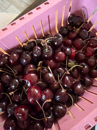 A close-up, top-down shot shows a pink plastic colander filled with dark red cherries. The colander has vertical slots and horizontal cutouts along its rim. The cherries are plump and glossy, some with stems still attached. The background consists of a textured surface, possibly a countertop or table, with a light-colored woven mat visible to the left. The image appears to be taken indoors, likely in a kitchen setting within Dromolaxia - Meneou Municipality, Cyprus.