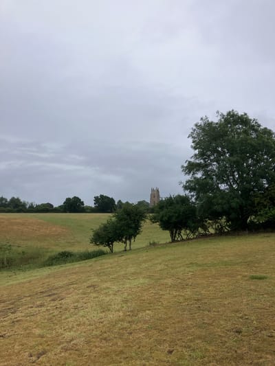 This image captures a rural landscape in Babergh, United Kingdom, under an overcast sky. The sky occupies approximately the top third of the frame, displaying uniform grey cloud cover. The foreground consists of a gently sloping field covered in dry, light brown and olive-green grass. A darker patch of green vegetation is visible in a subtle depression in the lower-left quadrant. A line of trees and bushes with dark green foliage extends diagonally across the midground, separating the foreground field from a more verdant field beyond. A prominent, large tree with dense green leaves stands on the right side of the midground, partially obscuring the distant view. In the far background, positioned centrally in the upper midground, a substantial stone tower is visible. This tower features multiple architectural tiers, prominent buttresses, and a crenellated parapet, indicative of a historic church or similar structure. No human or animal subjects are present in the scene.