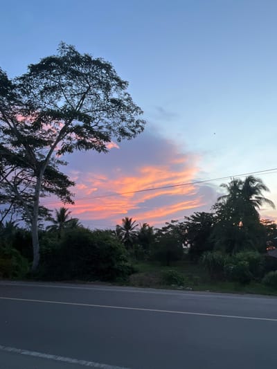 A dusk scene unfolds over a rural road in Meunasahreudeup, Indonesia. The sky is a gradient of soft blues and purples, dramatically illuminated by a band of vibrant pink and orange clouds streaking across the horizon. Silhouetted against this colorful sky are lush green trees and palm trees, characteristic of the tropical landscape. A large, leafy tree stands prominently on the left, its branches reaching upwards. A paved road with white and yellow dividing lines occupies the foreground, suggesting it is a relatively trafficked area. The overall atmosphere is serene and tranquil, capturing the natural beauty of a tropical evening.