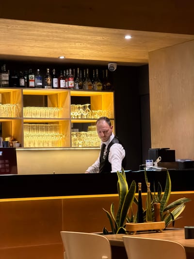 In a dimly lit interior, likely a bar or restaurant, a man dressed in a white shirt and black vest stands behind a dark counter. He is looking down and to his left, with his hands out of frame, possibly engaged in his work. Behind him, shelves are stocked with various bottles of alcohol and numerous glasses, illuminated by warm, yellow lighting. A security camera is visible mounted on the ceiling above the shelves. In the foreground, on a wooden table, several potted snake plants and oil bottles are arranged, with the back of two white chairs visible. The setting appears to be in Žunovnica, Bosnia and Herzegovina.