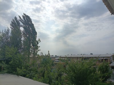 The image depicts an outdoor scene in Uchkun, Kyrgyzstan, under a cloudy sky. Tall, slender trees with dense green foliage dominate the left side of the frame, appearing somewhat windswept. Behind these trees, a collection of buildings and structures are visible. Some of these appear to be residential houses with pitched roofs. In the middle ground and to the right, there are several open-sided structures with corrugated metal roofs supported by wooden beams, suggesting agricultural or storage facilities. Green bushes and trees are interspersed throughout the scene, with some of the foliage in the foreground obscuring parts of the buildings. In the lower portion of the image, a grey, corrugated metal roof is visible, possibly belonging to a dwelling or outbuilding. The overall impression is one of a rural or semi-rural setting. The time of day is likely daytime, given the ambient light, but the heavy cloud cover creates a somewhat muted, overcast atmosphere. No people are visible in the image, and there is no discernible text.