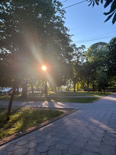 The image depicts a sun-drenched park or residential street in Kamianka-Buzka, Ukraine. The sun, positioned low in the sky, casts long shadows and creates lens flare as it shines through the leafy canopy of mature trees lining a paved walkway. The walkway, made of interlocking hexagonal pavers, is bordered by a strip of grass. The scene is bathed in the warm, golden light characteristic of late afternoon or early morning. The presence of power lines strung between poles suggests a developed area. The overall mood is peaceful and serene, evoking a sense of tranquility associated with nature and pleasant weather. No people are visible in the frame.