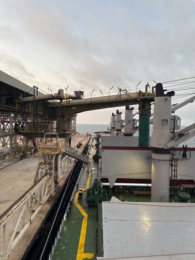 The image depicts a wide view of a port facility, likely during overcast weather, with the ocean visible in the background. The scene is dominated by industrial structures, including a large conveyor system with multiple towers and gantries, likely used for loading or unloading bulk cargo. A large ship, a bulk carrier, is docked alongside the conveyor system, its deck visible in the foreground. The ship's deck is painted green with prominent yellow safety markings, and several large loading arms or cranes are mounted on its superstructure.
The port infrastructure includes concrete docks, metal walkways, stairs, and various mechanical components associated with cargo handling. The environment suggests an active industrial port. The specific location identified as Mersat El Hadjadj, Algeria, indicates a coastal industrial area focused on maritime trade, likely handling commodities like iron ore or coal given the presence of bulk handling equipment. There are no people visible in the frame, suggesting the operation might be automated or not actively in progress at the time of the photograph. The overall impression is one of large-scale industrial activity at a port.