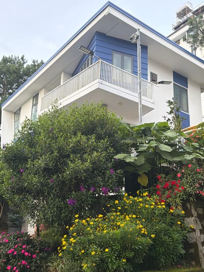The image depicts a multi-story building with white walls and a blue roof, situated in a verdant environment. The building features a balcony with a white railing and several windows. The foreground is dominated by lush greenery, including a large bush with dark green leaves and scattered purple flowers, and a cluster of yellow daisies. Pink and red flowers are also visible, adding pops of color to the scene. In the background, other buildings and trees can be seen, suggesting an urban or suburban setting. The sky is overcast. The location is identified as Xuan Truong - Da Lat, Vietnam.