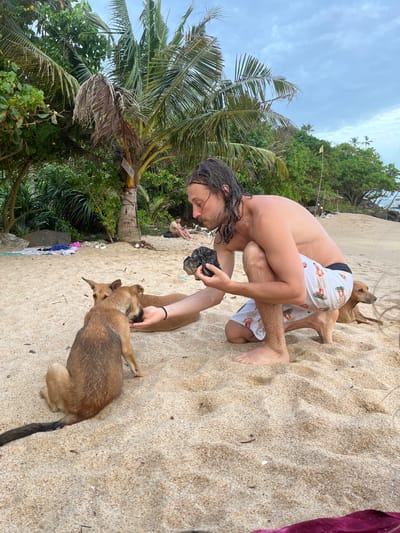 In Batawala, Sri Lanka, a shirtless man with long, wet hair crouches on a sandy beach, offering food from his hand to two light brown dogs. He is wearing white swim shorts with a pattern of figures. One dog, with its body facing away from the camera, is looking up at the man and taking food from his hand. Another dog, lying down beside it, is also looking towards the man. In the background, a dense jungle with palm trees lines the beach, and a person is sitting in the distance. The sky is overcast with clouds.