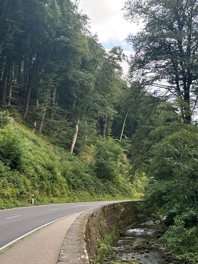 The image shows a scenic road in Consdorf, Luxembourg, with a dense forest on the left and a stone-walled embankment to the right, alongside a flowing stream. The road curves gently to the right, with a paved pedestrian walkway bordering it on the left. The forest on the hillside is lush and green, with tall trees forming a dense canopy. A few dead trees are visible amongst the living ones, adding a touch of wildness to the scene. The stream, with its clear water and rocky bed, flows alongside the road, its presence enhancing the natural beauty of the landscape. The sky is overcast with some patches of blue visible, suggesting a slightly cloudy day. There are no people or animals visible in the image. The overall impression is one of a serene and picturesque natural setting, typical of the Luxembourgish countryside.