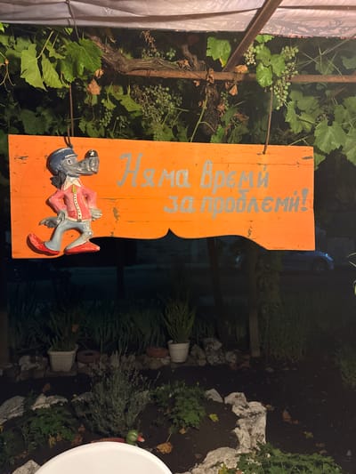 The image depicts a rustic, hand-painted orange wooden sign hanging outdoors, suspended from a metal frame covered by a white tarp. The sign features a cartoonish wolf character in a blue hat, pink jacket, and red shoes, standing on the left side. Silver Cyrillic lettering is painted on the sign, reading "Нама време за проблеми!" which translates to "No time for problems!". The background shows lush green grapevines with small green grapes hanging down. Below the sign, a dark, landscaped area is visible with various plants in pots, rocks, and a small green duck figurine. The lighting suggests it is either dusk or evening, with some artificial light illuminating the scene. The location is identified as Troyanovo, Bulgaria, implying this is a garden, yard, or outdoor seating area.