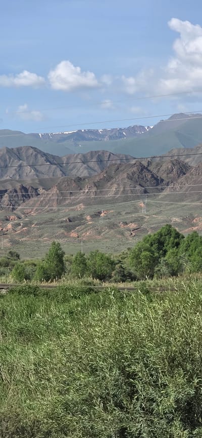 The image depicts a mountainous landscape with a clear sky and scattered clouds. In the foreground, tall green grass and reeds are visible, with a railway track running horizontally through the middle. Behind the tracks, a line of trees stands, and further in the background, rolling hills and rugged mountains are prominent. Some of the higher peaks show patches of snow. Electrical wires and poles are present across the scene, indicating human infrastructure. The location is identified as Krasnyy Most, Kyrgyzstan. No people or animals are visible in the image.