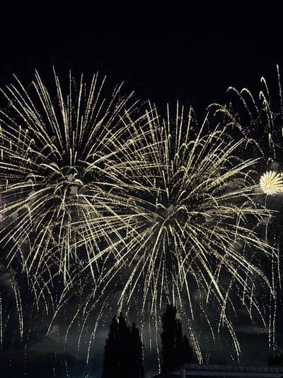 The image depicts a nighttime fireworks display. The sky is black, serving as a backdrop for numerous bright, white and yellow streaked fireworks exploding in the upper half of the frame. These bursts create a fanned or radial effect, with individual streaks of light extending outwards. In the lower part of the image, silhouetted against the faintly illuminated sky, are the dark shapes of trees and what appears to be a building structure. The fireworks are the primary subject, illuminating the dark sky with their luminous trails. There are no people visible in the image. The scene is characteristic of a celebratory event, such as a festival or holiday, and the dark, possibly cloudy, sky suggests an outdoor setting. The location in Brno, Czechia, is not visually indicated by any specific landmarks or identifying features within the image itself, but it is understood to be the context of the photograph.