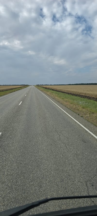 The image shows an asphalt road with white lane markings, stretching into the distance. On either side of the road are fields of dry grass or crops, bordered by a thin line of trees on the horizon. The sky is overcast with scattered clouds. The perspective suggests the image was taken from a vehicle, possibly looking out through a windshield. The scene is rural and appears to be in the area of Donskaya Balka, Russia. There are no people or animals visible in the image. The environment is natural and agricultural, with the road being the only man-made feature of prominence.