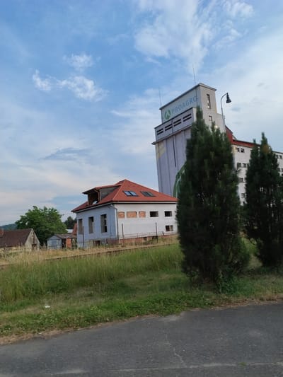 This is a landscape photograph taken outdoors in Horažďovice, Czechia. The image captures a rural scene with a large industrial building in the background and a smaller, partially constructed building in the foreground.
The dominant feature in the background is a tall, multi-story industrial silo or grain elevator, painted white and bearing the green and white logo "PROAGRO" along with smaller text below. The building has a somewhat utilitarian design with visible horizontal bands and a pitched roof. A tall, dark street lamp with a curved arm stands to the right of this structure.
In the middle ground, a smaller building with a red, tiled, pitched roof is visible. This building appears to be under construction or renovation, with visible window openings lacking glass and some sections of exposed brickwork. To the left of this structure, a smaller, weathered house with a brown tiled roof is partially visible. There are also some smaller outbuildings or sheds present.
The foreground is dominated by a stretch of mowed grass and weeds, with a dark asphalt road running along the very bottom of the frame. Several mature evergreen trees stand between the industrial building and the foreground, partially obscuring the view of the main structures. The sky above is a bright blue with scattered white clouds. The overall impression is one of a semi-industrial area transitioning into a more rural setting.