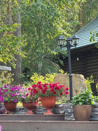In Sukhaya, Russia, a rustic log cabin with a green-tiled roof is nestled amongst lush green trees. In front of the cabin, a black lamppost with three lights stands tall. The cabin is surrounded by a stone wall and various plants, including vibrant purple and red petunias in terracotta pots. A tall brown pot with green foliage sits to the right of the petunias. The foreground features wooden decking. The overall scene is one of a serene, natural outdoor setting.