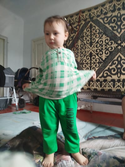 A young child is standing in a room. The child is wearing a green and white checkered shirt and bright green pants with the word "NOTHING" written vertically in black letters. The child's shirt is slightly lifted, revealing the stomach. The child is looking to their left with a slightly serious expression. In the background, a large, intricately patterned rug with black and beige designs hangs on the wall. To the child's left, a grey walker or similar mobility aid and a baby stroller are visible. The floor appears to be covered with a light-colored rug or carpet, and there is a darker surface beneath it. The room is dimly lit, suggesting it could be evening or a cloudy day. The overall scene conveys a sense of everyday life in a residential setting.