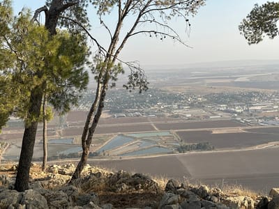 From a rocky overlook framed by trees, a hazy vista unfolds. Farmland, including patterned pools, stretches into the distance. Beyond lie buildings of a town or city, fading into a distant, somewhat obscured landscape. The light is soft and even, suggesting late day or a slightly overcast condition.