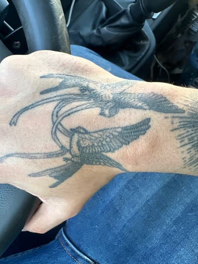 This image captures a close-up view of an individual's left hand and forearm, located within what appears to be a vehicle interior in Pichl bei Wels, Austria. The skin on the dorsal aspect of the hand and forearm displays multiple black ink tattoos. The most prominent tattoo depicts two swallows or similar passerine birds in flight, intertwined with flowing, ribbon-like elements. One bird is positioned centrally, exhibiting detailed wings and body. A second bird is partially visible above and to the left of the central bird. Additional tattoo patterns, possibly radiating lines, are partially visible on the far right edge of the forearm. The individual is wearing blue denim jeans, visible below the hand. In the background, a dark, circular object consistent with a steering wheel or vehicle interior component is present in the upper left quadrant. A dark, possibly synthetic material object, such as a dashboard or seat, is discernible in the upper right background. The lighting is consistent with ambient daylight.
