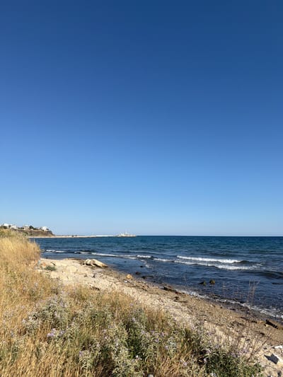 The image depicts a coastal scene in Nea Kallikratia, Greece, under a clear, bright blue sky. The foreground is a dry, sandy beach with scattered pebbles and vegetation. Tall, dry grasses dominate the left side, interspersed with low-lying plants bearing small purple flowers. A large, light-colored rock rests on the sand near the water's edge. The sea is a deep blue, with gentle waves lapping the shore. In the middle ground, a long, stone breakwater extends into the sea, with buildings and structures visible on the land beyond it. A lighthouse or similar structure stands at the end of the breakwater. Further in the distance, a cluster of white buildings is visible on a slightly elevated coastal area on the left. The horizon is clearly defined by the meeting of the sea and the sky. No people are visible in the frame. The overall impression is one of a serene, unpopulated beach on a sunny day.
