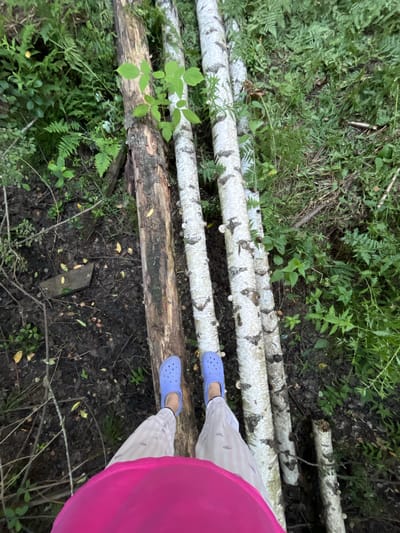 In a forest setting, a person's legs are visible from the knees down, wearing light-colored pants with a faint pattern and bright pink Crocs. They are standing on a makeshift bridge composed of several fallen logs. To the left is a single, rough-barked log, while to the right, three smooth, white-barked birch logs lie parallel. The ground beneath is dark earth and leaf litter, with lush green ferns and foliage surrounding the logs. The scene suggests an outdoor activity or walk in a wooded area. The specific location in the city of Нагорный, Russia, is unknown from the image alone.