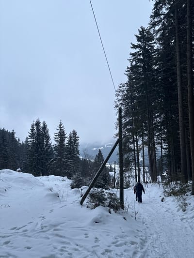 A snowy, overcast scene features tall, dark evergreen trees lining the top and middle ground. A snow-covered path runs along the right side. A wooden structure, possibly for power lines, is visible in the center with a wire stretching to the left. A distant mountain range is partially obscured by low-lying clouds. A person walks along the path in the upper right. Snow drifts create a textured landscape, contrasting with the stark verticality of the trees.