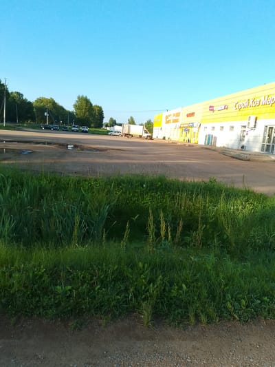 The image depicts a wide outdoor scene with a bright blue sky dominating the upper portion. In the middle ground, a long, yellow building with a white trim is visible. This building appears to be a commercial establishment, with "СтройХозМаркет" (StroyKhozMarket) and other Russian text painted in large, colorful letters on its facade. Several vehicles, including cars and a delivery truck, are parked in front of the building and on the adjacent road. The road itself is made of asphalt and dirt, with some puddles of water. To the left of the road, a line of trees forms a dense green barrier. In the foreground, a thick patch of tall green grass and weeds occupies the lower half of the image, creating a stark contrast with the paved area and the building. The overall impression is of a typical daytime scene in a commercial area, possibly on the outskirts of a town. The presence of the "StroyKhozMarket" sign suggests this is a construction and household goods store.