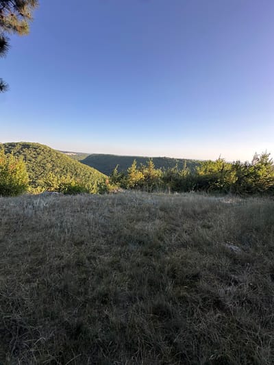This is a landscape photograph taken from an elevated position overlooking a valley. The foreground is dominated by dry, golden grass, indicating a dry season or arid environment. Beyond the grass, the scene opens up to a lush, green valley with rolling hills covered in dense forestation. The trees are a vibrant green, suggesting healthy growth. In the distance, a small settlement or cluster of buildings is faintly visible on a hilltop, adding a touch of human presence to the natural landscape. The sky is a clear, pale blue, with no clouds visible, suggesting fair weather. A few pine branches are visible in the upper left corner, framing the sky. The lighting suggests it is either early morning or late afternoon, with the sun casting a gentle light on the scene. The overall impression is one of a serene and natural landscape, possibly in the rural outskirts of Pryvorottia Druhe, Ukraine.