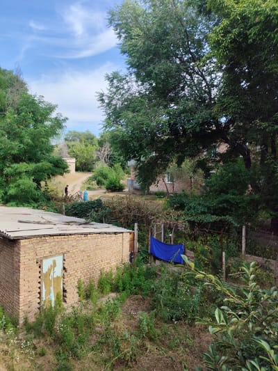 In Orlovka, Kyrgyzstan, a rustic scene unfolds under a partly cloudy sky. In the foreground, a weathered, light-brown brick outbuilding with a corrugated metal roof stands to the left. Its wooden door is visibly damaged, with peeling paint and exposed wood. Dense green foliage and dry grass surround the outbuilding, with scattered small white flowers.

Further into the background, a dirt path winds through the landscape. Two figures are present on the path: a person in a black t-shirt and a person in a blue dress. They are walking away from the viewer, towards the right side of the frame. Beyond them, more greenery, including trees and bushes, dominates the scene. A larger brick building, partially obscured by trees, is visible in the mid-ground. A bright blue tarp is draped over a wire fence to the right of the path, near a cluster of dense green bushes. The overall impression is one of a rural or semi-rural setting with signs of aging and natural overgrowth.