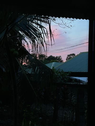The image shows a view through a dark foreground of palm fronds and branches, looking out towards a sky with pastel pink and blue hues, characteristic of dusk or dawn. Several houses with teal-colored metal roofs are visible, along with trees and utility wires. The scene appears to be from Bacong, Philippines, suggesting a residential area. The overall mood is serene and somewhat melancholic due to the low light conditions. There are no people or animals visible in the frame.