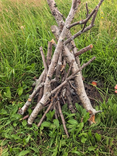 The image displays a small campfire structure made of stacked branches in a grassy, outdoor environment. The branches are of varying sizes, some appearing to be from a deciduous tree with lighter bark, while others are darker and thinner. The base of the structure shows signs of charring and ash, indicating past use. The surrounding area is covered in green grass and some weeds, suggesting a natural or semi-natural setting. In the background, taller grasses and a few wildflowers are visible. A small red object, possibly an apple, and some grey debris are partially visible near the base of the campfire, to the right. A human hand is also visible in the lower right corner of the image, reaching into the frame. The overall scene suggests a casual outdoor activity like camping or a picnic in a rural or park-like area. No specific landmarks or buildings that would identify it as being in the city of Кузьминовка, Russia, are present.