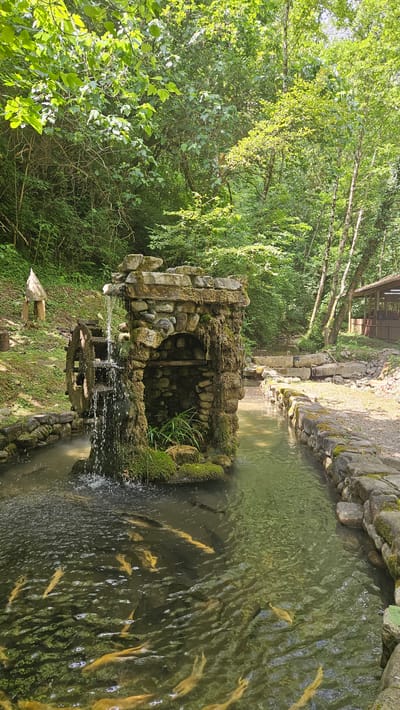 The image shows a small, artificial waterfall structure made of stones and moss, with a wooden water wheel on its left side. Water cascades down from the top of the stone structure into a shallow stream. The stream is populated by numerous golden-colored fish, likely trout, swimming in the clear water. The stone structure has an arched opening at its base, and some greenery is visible growing within and around it. The stream is bordered by stone walls on the right side. In the background, a wooded area with lush green trees and foliage is visible. To the left of the waterfall, a small, wooden, birdhouse-like structure is present on a grassy slope. Further in the background, on the right side, a wooden pavilion or shelter with a thatched roof can be seen. The overall scene appears to be a man-made attraction in a natural, forest-like environment. This location is identified as being in the city of Bolshoy Kichmai, Russia.