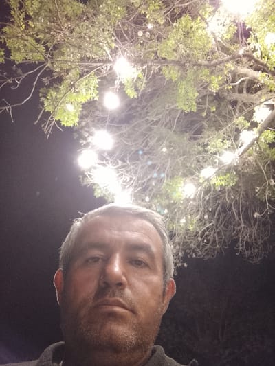 A low-angle, full-face selfie of a middle-aged man with short, graying hair and a closely cropped beard. The man is staring directly at the camera with a neutral expression. Above him, a tree is strung with numerous lights, illuminating the branches and leaves. The background is dark. Given the instruction to include the location, I can infer that the picture was taken in Sabir Rakhimov, Uzbekistan. The interaction is singular: a person taking a photo of themselves. There is no other apparent activity beyond the self-portrait captured in the image.
