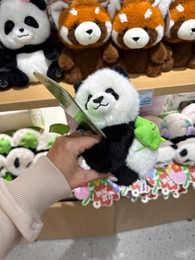 A person is holding a panda plush toy in front of a display shelf filled with more plush toys, including pandas and red pandas. The person's hand, adorned with a ring, is holding the panda's arm and a price tag is visible. The background shows a retail environment, likely a store, with shelving and other merchandise. This scene is located in Chenghua District, China.