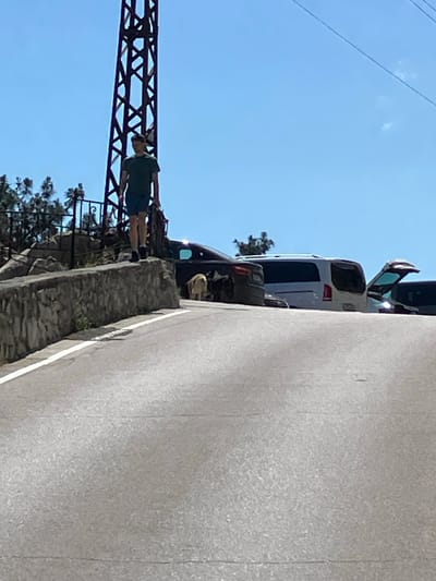 A young man wearing a green t-shirt and blue shorts walks down a paved road on a sunny day. He is carrying a dark bag in his right hand. To his left, a stone wall borders the road. Further down the road, there are several parked vehicles, including a white van with its rear door open and a darker vehicle. Two light-colored dogs are standing on the road near the white van. In the background, a tall metal structure, possibly a tower or pylon, is visible against a clear blue sky. The scene appears to be in a scenic location, possibly a rural or semi-rural area, given the presence of natural vegetation and the expansive sky. The lighting suggests it is daytime.