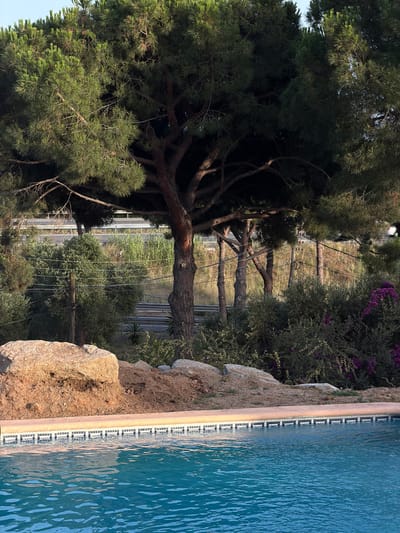 In Sant Vicenç de Montalt, Spain, a body of water, likely a swimming pool, is visible in the foreground. The water is a clear blue, with gentle ripples on its surface. Adjacent to the pool is a tiled edge, bordered by a peach-colored coping. Behind the pool, the landscape transitions to a rocky, sandy embankment. Lush green pine trees dominate the middle ground, their dense foliage creating a shaded canopy. Interspersed among the pines are smaller trees and bushes, some bearing vibrant purple flowers. Power lines are strung between utility poles, traversing the scene horizontally. In the background, a multi-lane road, possibly a highway, is visible, with vehicles faintly discernible. The overall scene suggests a tranquil, semi-urban environment, possibly a residential area or a resort, blending natural elements with man-made infrastructure.