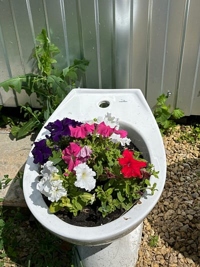The image shows a white toilet bowl repurposed as a planter. It is filled with dark soil and several blooming petunias in various colors, including purple, pink, white, and red. The toilet bowl is placed outdoors, surrounded by gravel and some greenery. In the background, a corrugated metal fence is visible, with some weeds growing near it. The scene appears to be set in a backyard or garden area, possibly in the city of Oryol, Russia, given the context of the prompt. The lighting suggests it is a sunny day. No people are present in the image.