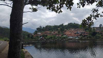 This wide shot captures a serene rural landscape, likely in Kecamatan Panjalu, Indonesia, under an overcast sky. In the foreground on the left, a thick tree trunk partially frames the scene, with a paved road curving along its base. The midground is dominated by a calm body of water, possibly a lake or reservoir, exhibiting ripples that reflect the muted light of the sky. Numerous dark, square structures, indicative of aquaculture or fish farming, are arranged across the water's surface.

The background features a densely populated village or settlement, with houses characterized by their distinctive orange or red-tiled roofs, sprawling across a green hillside. The slopes around and behind the houses are covered with abundant trees and lush vegetation, suggesting a tropical environment. In the far background, rolling mountains or hills are visible, blending into the cloudy horizon.

No individuals or animals are explicitly visible. The scene conveys a sense of peaceful daily life and connection to nature and traditional livelihoods, with the fish farming structures being the primary indication of human activity. The weather appears cloudy or overcast, diffusing the daylight. No visible text is present in the image.