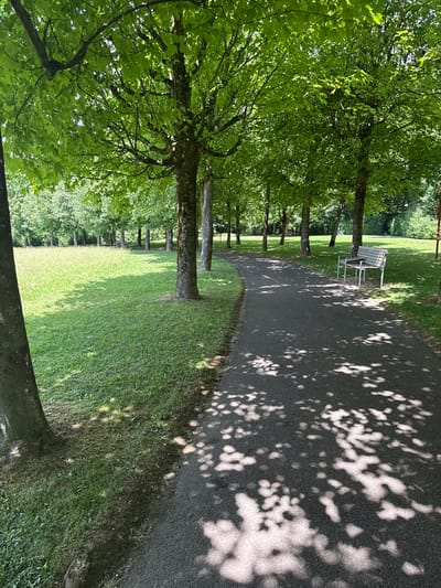 A straight, paved path runs through a park in Bottmingen, Switzerland. The path is flanked by trees on the left and grass on both sides, with dappled sunlight on the path. A white bench is visible further along the path. The scene is brightly lit.
