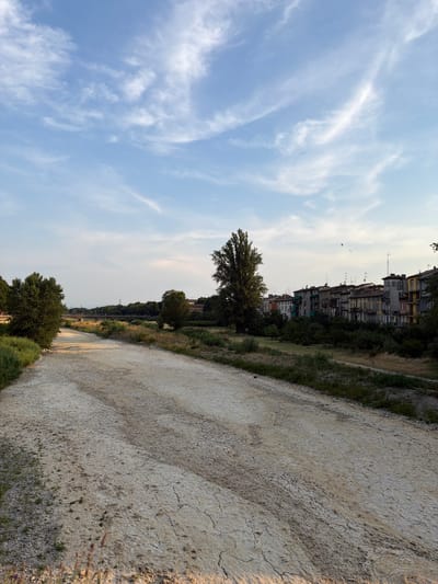 The image depicts a street in Parma, Italy, with buildings lining the left side and a dirt path on the right. The buildings appear aged and are multicolored, with many windows and antennas visible. Trees and greenery are scattered throughout the scene, with a large tree in the foreground and denser foliage behind the buildings. The sky is a light blue with scattered wispy clouds, suggesting it is daytime, likely late afternoon due to the warm, golden light cast on the dirt path. The path itself is dry and cracked, indicating a lack of recent rainfall. The overall mood is peaceful and somewhat rustic, with the natural elements contrasting with the urban architecture. No people or specific activities are discernible.