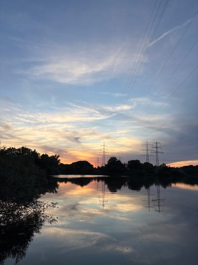 This image depicts a sunset over a body of water, likely a lake or river, near Ludwigshafen am Rhein, Germany. The sky is filled with wispy clouds illuminated by the orange and yellow hues of the setting sun. Several power line pylons are visible on the horizon, silhouetted against the colorful sky, with their corresponding reflections appearing in the calm water. Dense foliage lines the banks of the water, casting dark shadows. The overall scene is tranquil, with the smooth water reflecting the sky and the industrial structures. There are no people visible in the image.