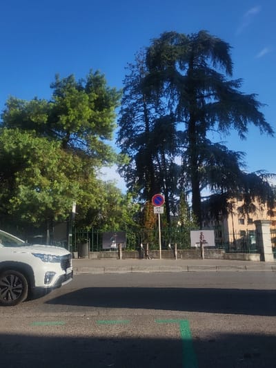 A partly cloudy, blue sky contrasts with trees, one notably tall and swaying. A street runs alongside with a 'no parking' sign, a building in the distance, and green painted marks on the road surface. A white car is parked on the right edge of the image.