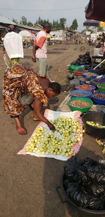 This image depicts an outdoor market scene on a dirt road in Buzove, Democratic Republic of the Congo. In the immediate foreground, a woman in a brown and orange patterned dress, wearing red sandals and a grey shoulder bag, is bent over a large quantity of light green, spherical fruits or vegetables, likely garden eggs or unripe tomatoes, which are spread on a white sack with red geometric patterns on the ground. Her right hand is immersed in the produce. To her immediate right, a black plastic tub contains multiple tied black plastic bags. Further back and to the left, a man in a striped orange and white shirt and light-colored pants stands with his back partially to the viewer, holding a dark object in his left hand. To the mid-right, a market stall is visible, displaying various dried legumes or nuts in a series of colorful plastic basins, including blue, green, and purple. The background features a wide, unpaved dirt road extending into the distance, with several individuals, including a child on a bicycle, and rudimentary single-story structures constructed from concrete blocks or corrugated metal. Tall, slender trees are visible beyond these structures under a diffused, light-grey sky.