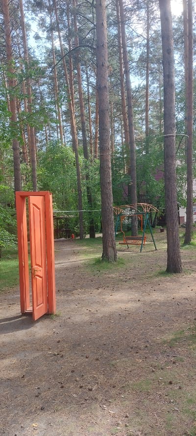 An outdoor scene in a park or wooded area features a bright orange, double-door frame standing open in the foreground, leaning against an unseen support. The doors are set against a backdrop of tall pine trees and lush green foliage. In the middle ground, a swing set with a weathered bench and an arched frame is visible. The ground is covered in pine needles and scattered pinecones. The overall setting appears to be a natural, unkempt environment within the Berdsk municipality, Russia.