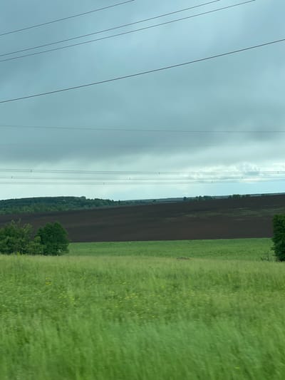The image depicts a rural landscape in Кокино, Russia. On the left side of the frame, there is an overcast sky with a series of power lines running vertically. To the right of the power lines, there is a distinct transition to fields. One field appears to be recently plowed, displaying dark brown soil, while the adjacent field is covered in green grass with small yellow flowers. The fields extend horizontally across the frame. The separation of the fields is defined by a thin line of greenery, possibly a row of trees or bushes. Several trees are also visible near the bottom of the plowed field.