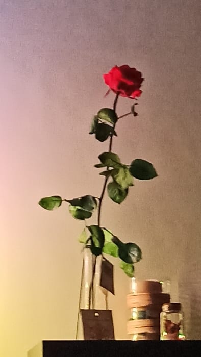 A single red rose lies horizontally across the image, its stem adorned with several green leaves. The background transitions from a light gradient to a darker hue. An unclear set of decorative items are on the right side of the image. The rose appears to be laid on a surface near the objects.